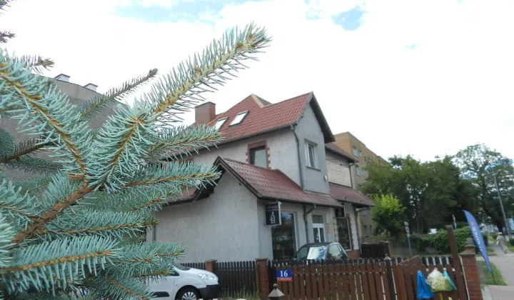 dom wolnostojący, 7 pokoi Międzyrzecz, ul. Poznańska