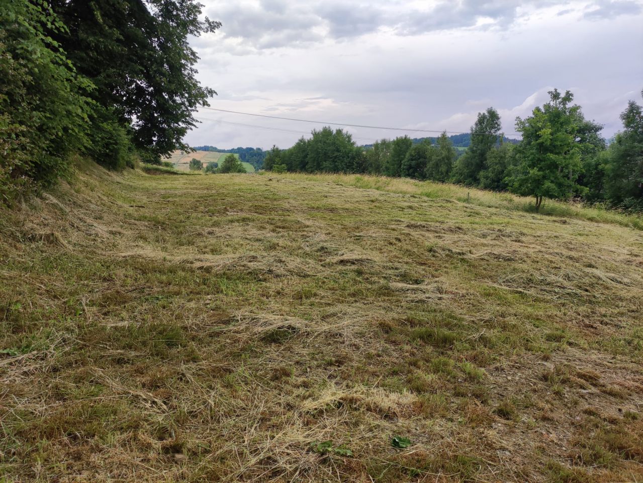 Działka budowlana Gorzeń Górny. Zdjęcie 7
