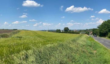 Działka budowlana Ziębice Nieszków