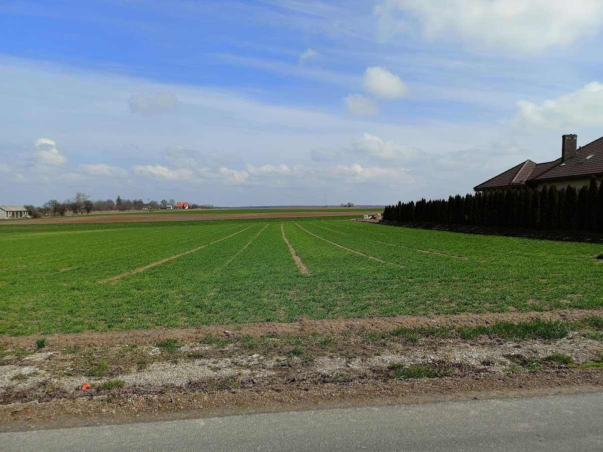 Działka siedliskowa Jabłonna Druga. Zdjęcie 4