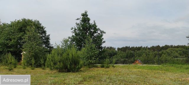 Działka rekreacyjna Kiełpiny. Zdjęcie 1