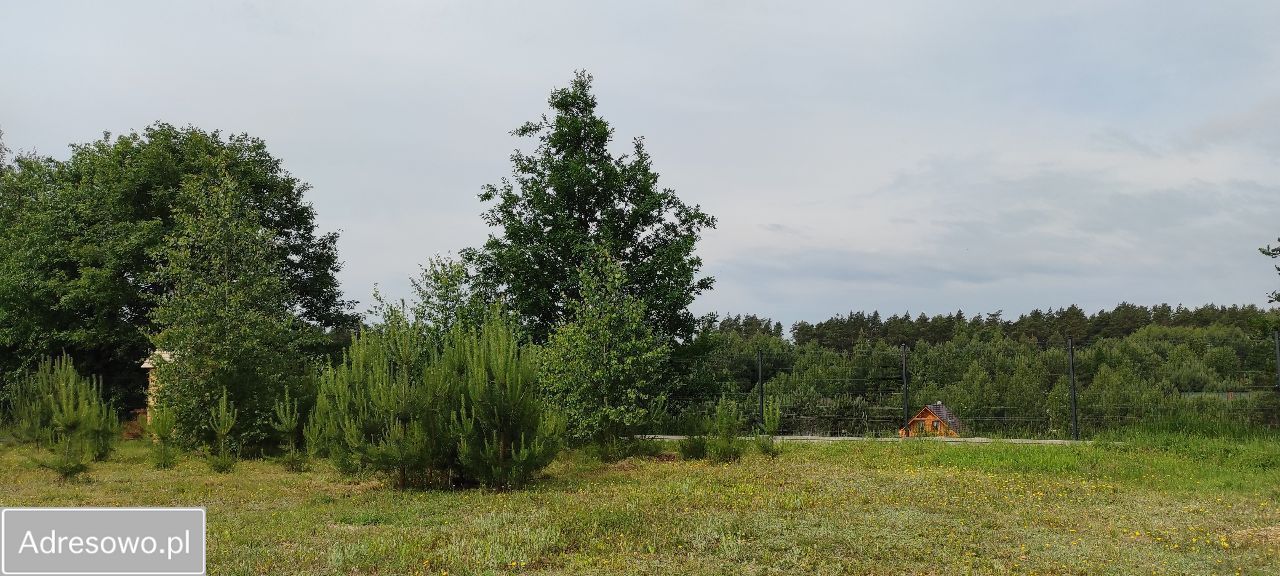 Działka rekreacyjna Kiełpiny. Zdjęcie 1
