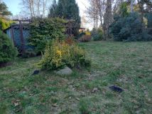 Działka rod Wola Prażmowska. Zdjęcie 2