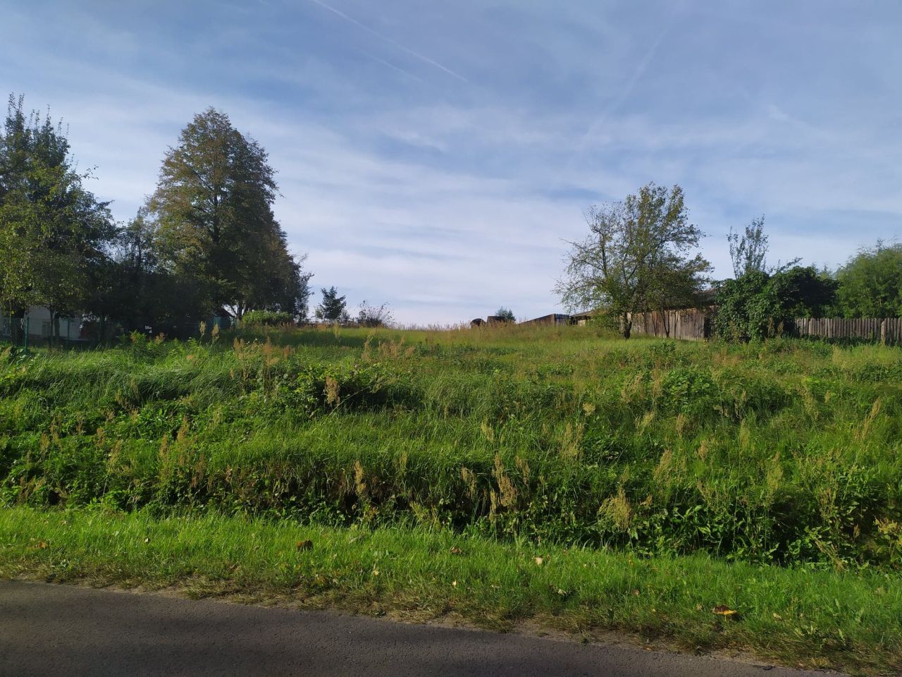 Działka rolno-budowlana Mołodycz Grobla. Zdjęcie 4