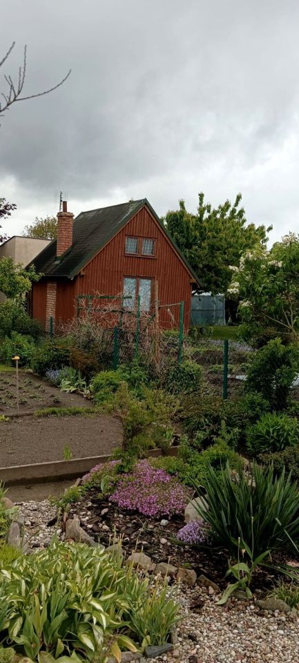 Działka rod Iława, ul. Władysława Reymonta. Zdjęcie 7