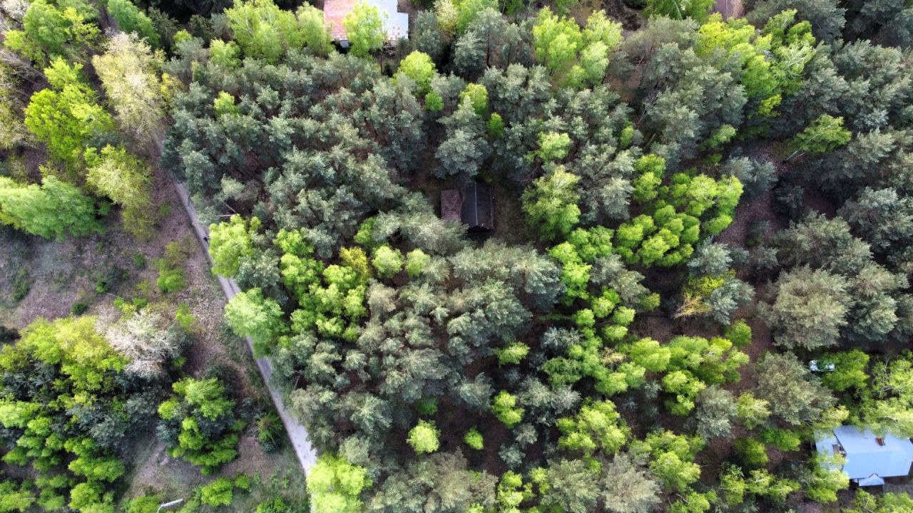 dom wolnostojący, 3 pokoje Cisie. Zdjęcie 10