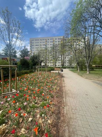 Mieszkanie 3-pokojowe Warszawa Mokotów, ul. Bokserska. Zdjęcie 1