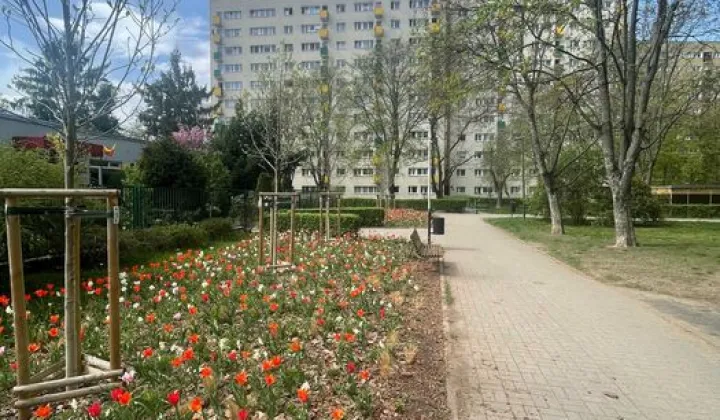 Mieszkanie 3-pokojowe Warszawa Mokotów, ul. Bokserska