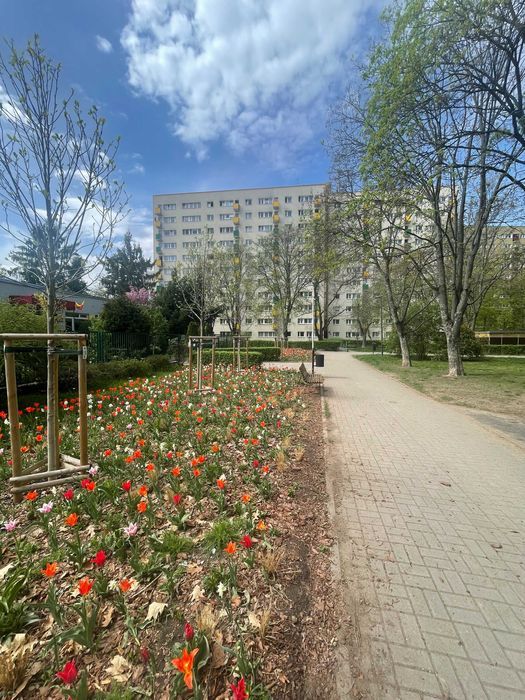 Mieszkanie 3-pokojowe Warszawa Mokotów, ul. Bokserska