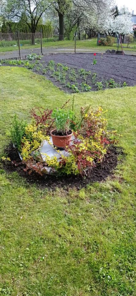 Działka rod Grudziądz, ul. Ludwika Waryńskiego. Zdjęcie 4