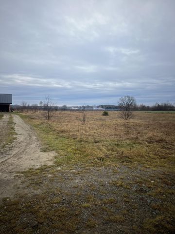 Działka rolno-budowlana Tuszyma. Zdjęcie 1