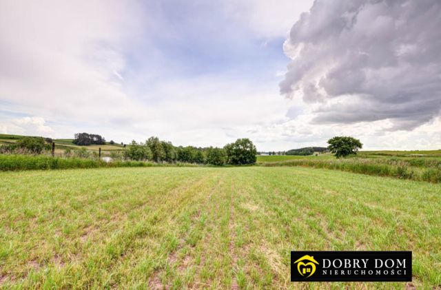 Działka budowlana Żegary. Zdjęcie 3