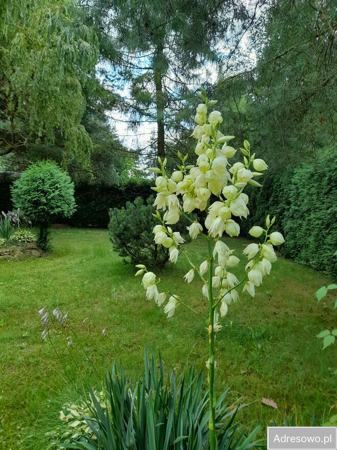 dom letniskowy, 2 pokoje Sumin. Zdjęcie 3