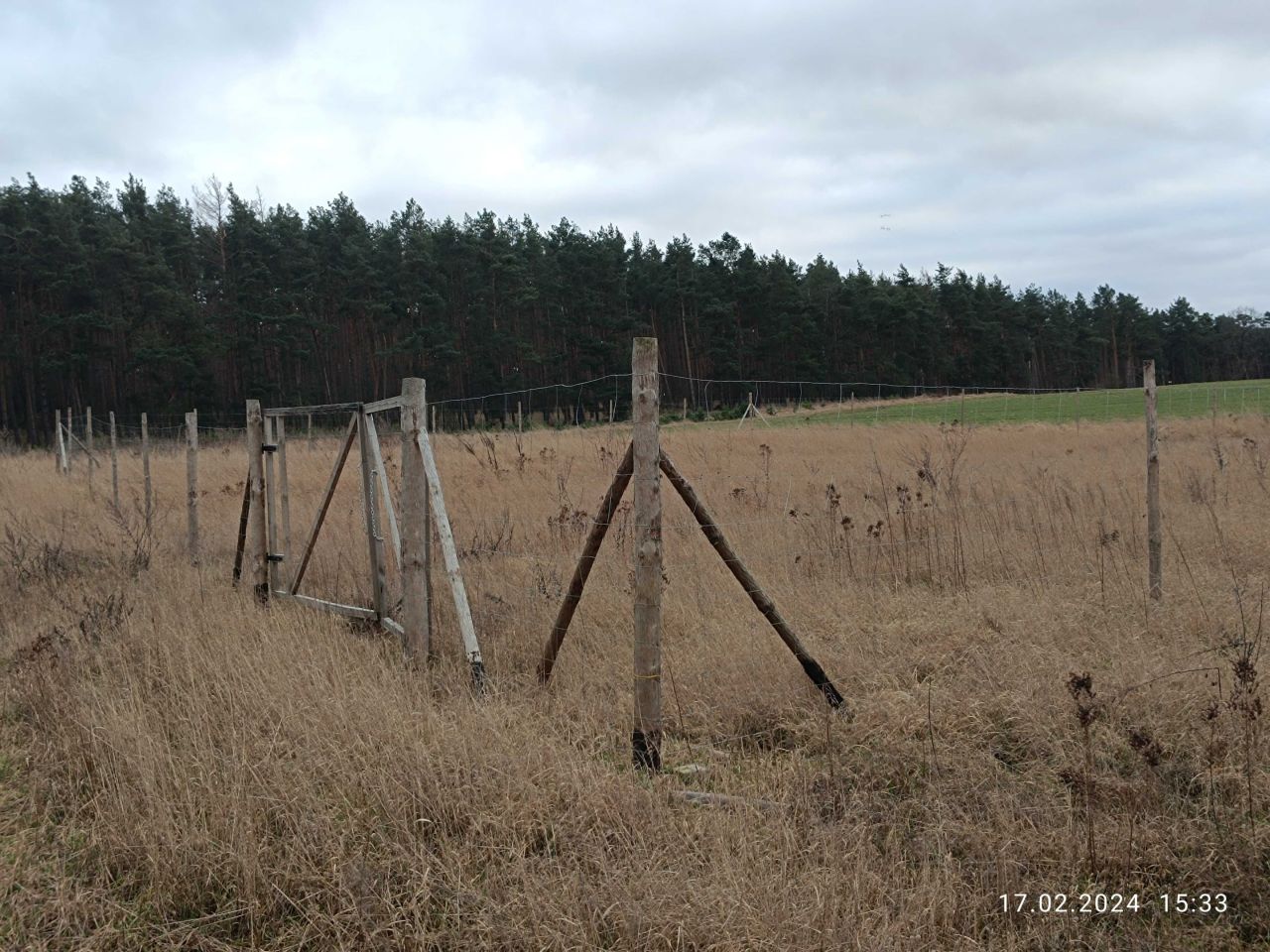 Działka budowlana Laski Lubuskie. Zdjęcie 3