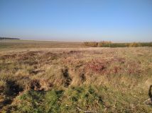 Działka inwestycyjna Lelów, ul. Szczekocińska. Zdjęcie 4