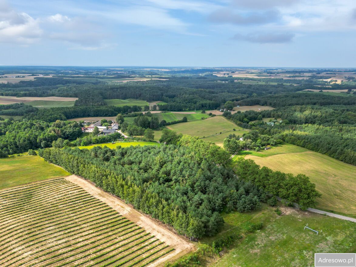 Działka rolno-budowlana Lorki. Zdjęcie 10