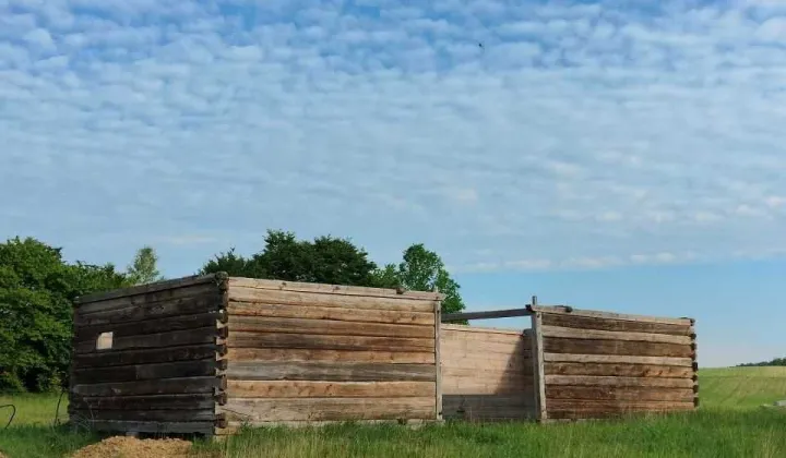 Działka siedliskowa Miłowo