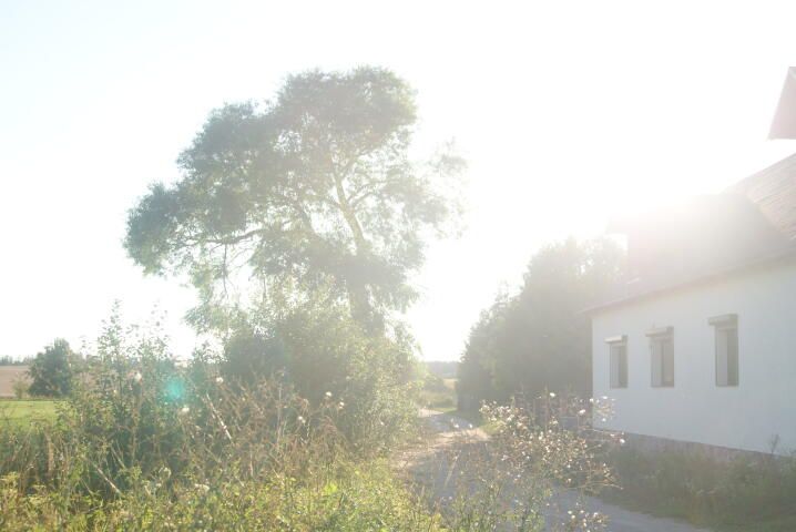 Działka rolna Kozłowo. Zdjęcie 7