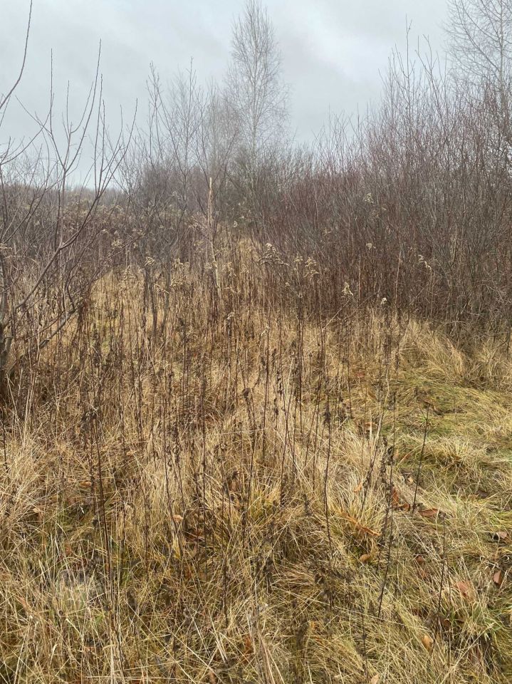 Działka rolna Małocice. Zdjęcie 2