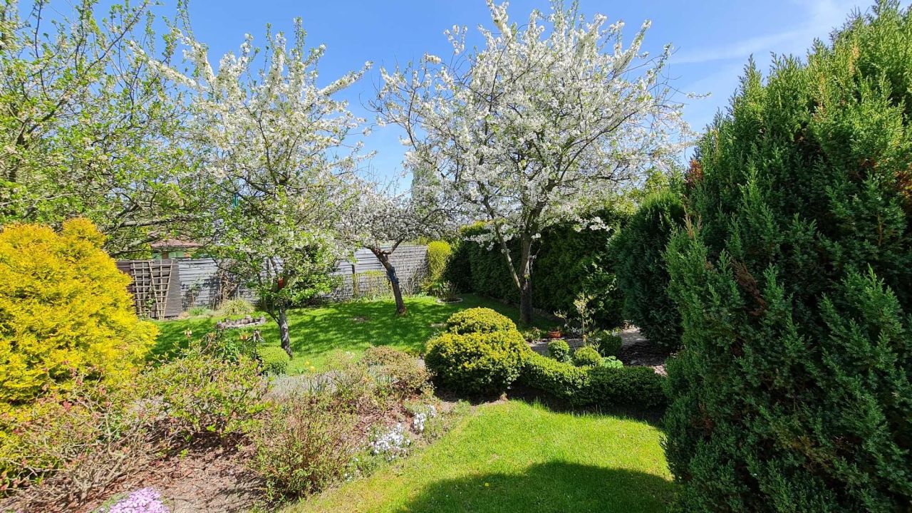 Działka rod Szczecin Bukowo, ul. Bajeczna. Zdjęcie 4