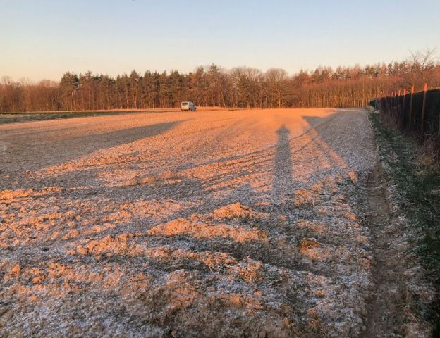 Działka budowlana Ostromecko. Zdjęcie 1