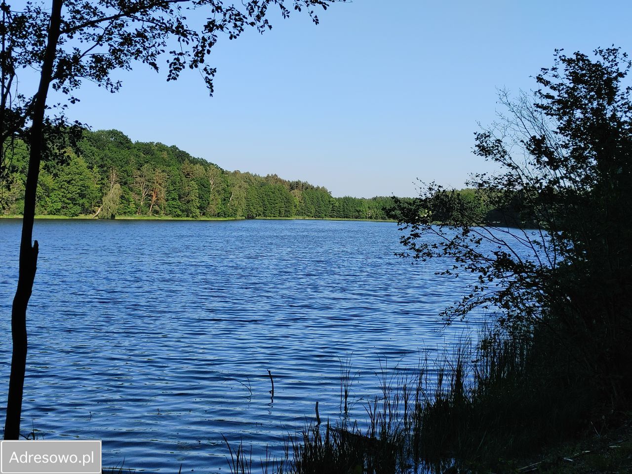 Działka leśna Sąpolno. Zdjęcie 11
