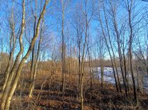 Działka rolna Krągłe. Zdjęcie 4