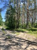 Działka rolna Pokrzywna. Zdjęcie 2