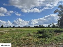 dom wolnostojący, 4 pokoje Strzeszki. Zdjęcie 3