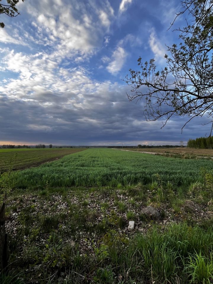 Działka budowlana Niegosław, ul. Pogodna. Zdjęcie 3