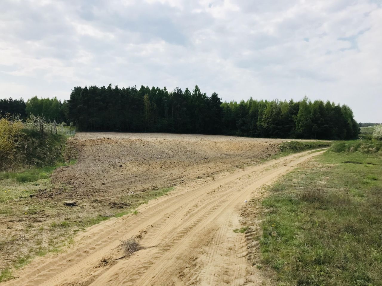 Działka rolna Rudka. Zdjęcie 3