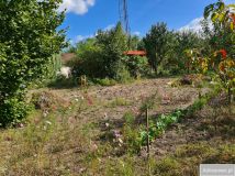 Działka rod Połaniec. Zdjęcie 1