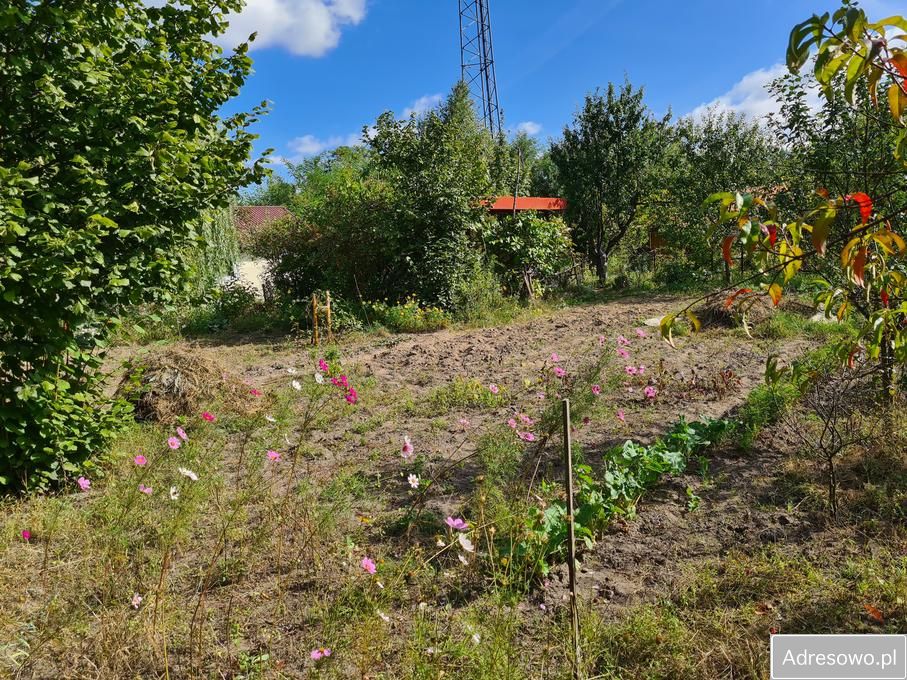 Działka rod Połaniec. Zdjęcie 2