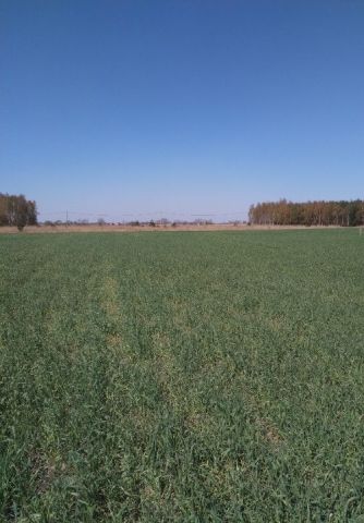 Działka budowlana Gębarzewko. Zdjęcie 1