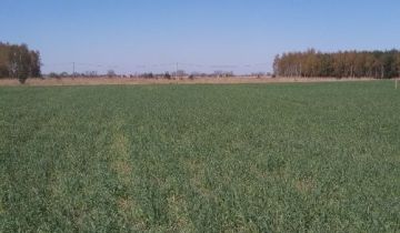 Działka budowlana Gębarzewko