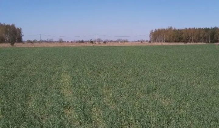 Działka budowlana Gębarzewko