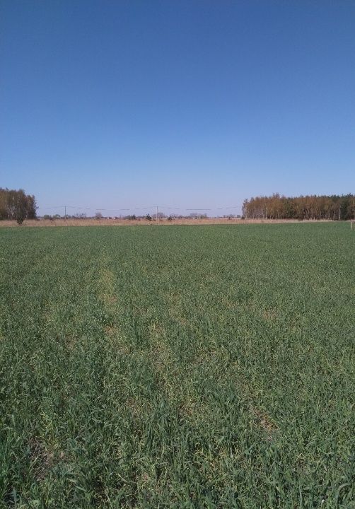 Działka budowlana Gębarzewko