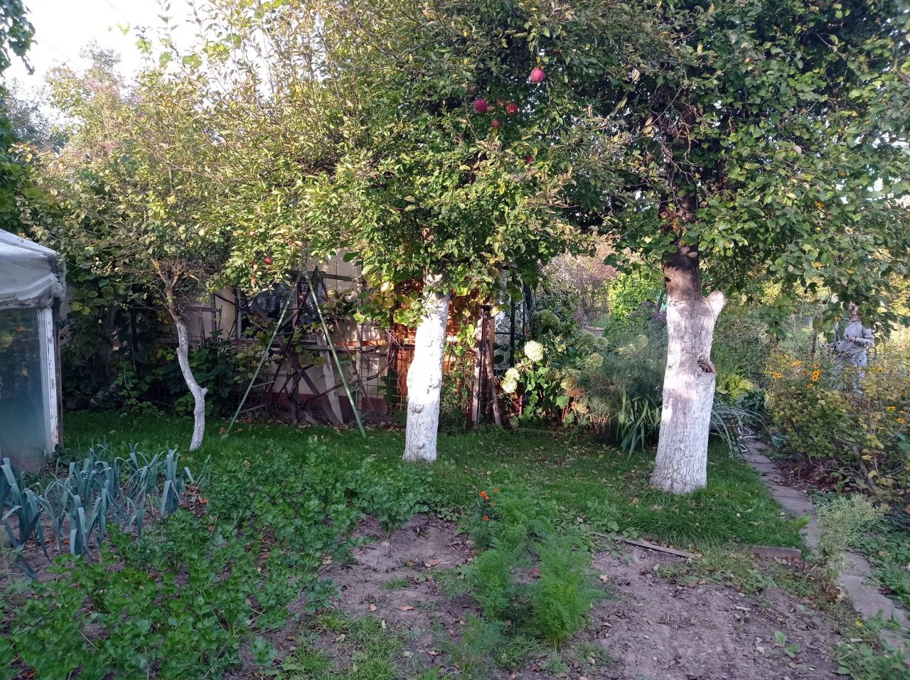 Działka rod Międzyrzecz, ul. Piastowska. Zdjęcie 5