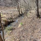 Działka budowlana Żarki-Letnisko, ul. Poranna. Zdjęcie 3