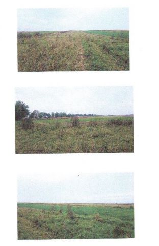 Działka rolno-budowlana Starzenice. Zdjęcie 1