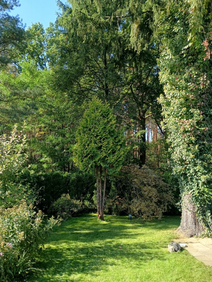 Działka rod Warszawa Białołęka Dworska, ul. Cieślewskich. Zdjęcie 11