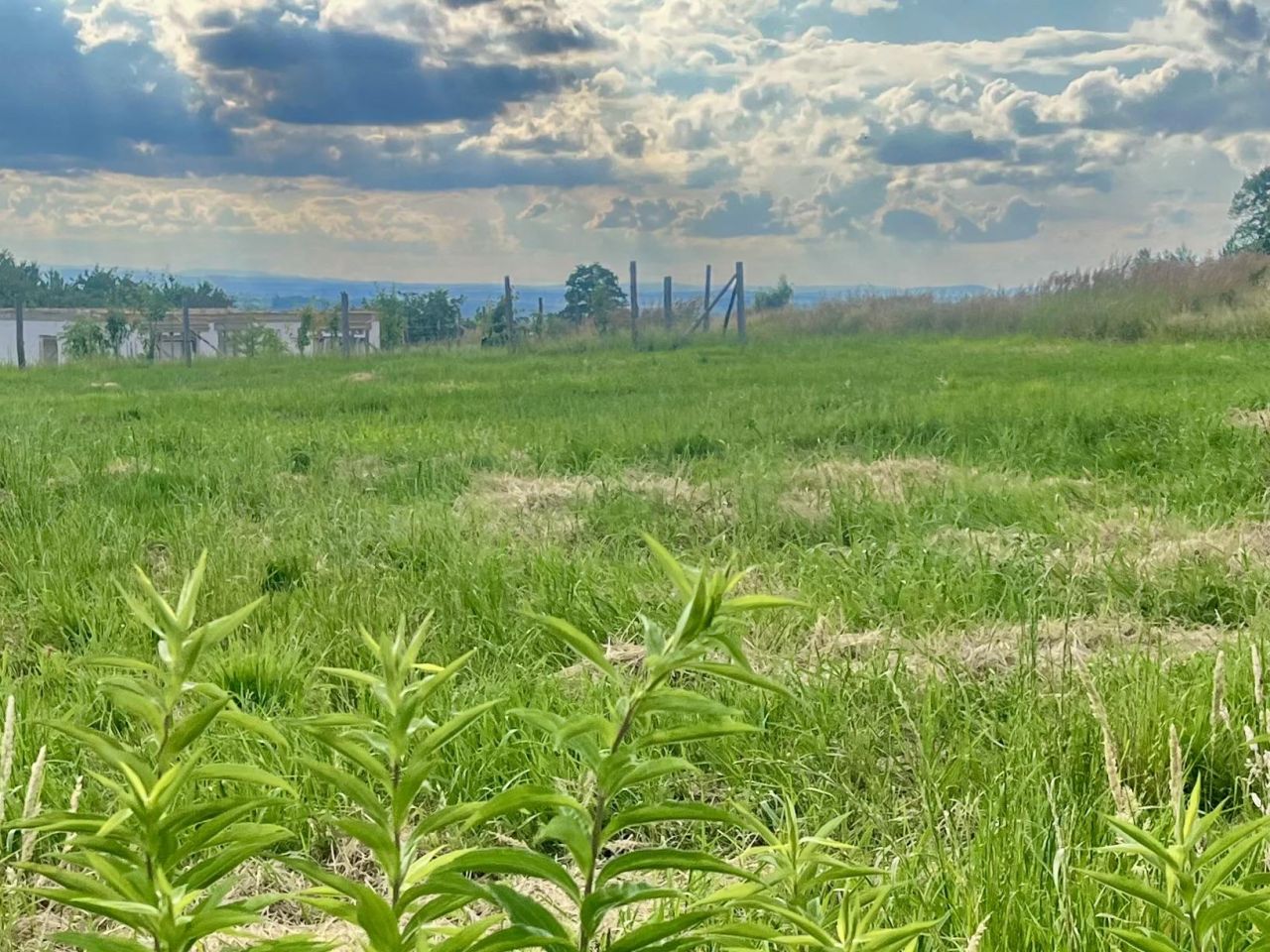 Działka budowlana Tąpadła, -. Zdjęcie 20