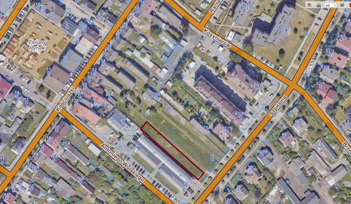 Działka budowlana Żuromin