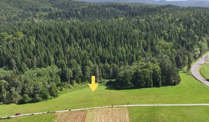 Działka rolna Berezka