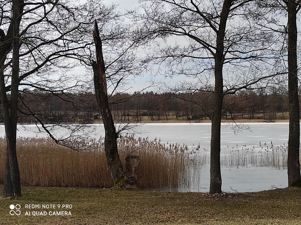 Działka rolna Rostki Skomackie. Zdjęcie 24