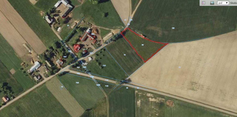 Działka rolno-budowlana Wępiły. Zdjęcie 6