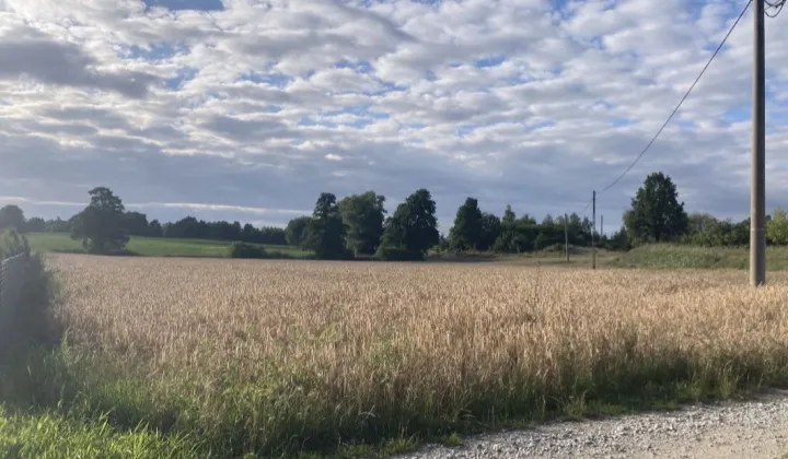 Działka budowlana Sierakowo