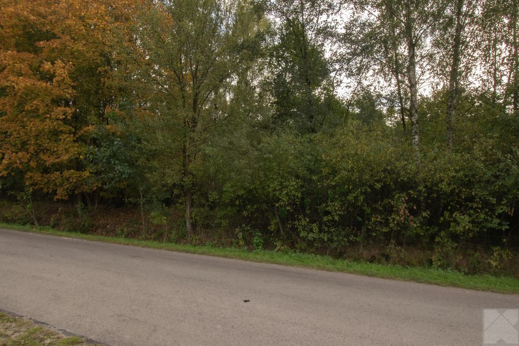 Działka budowlana Majdan Sieniawski. Zdjęcie 5