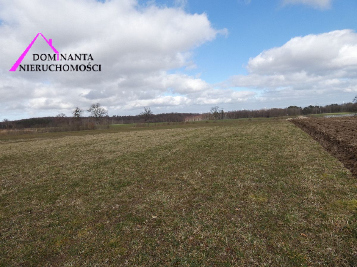 Działka budowlana Zdrada, ul. Leśna. Zdjęcie 13