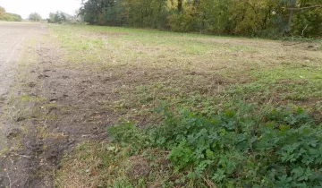 Działka na sprzedaż bez pośredników 
 
 Bełchów - Widok 5